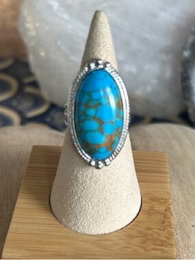 & Other Stories Turquoise and Silver Oval Statement Ring
